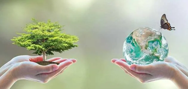 أقلّ من 10% فقط… المدرسة تُعلّم البيئة لكن لا تصنع سلوكًا بيئيًا