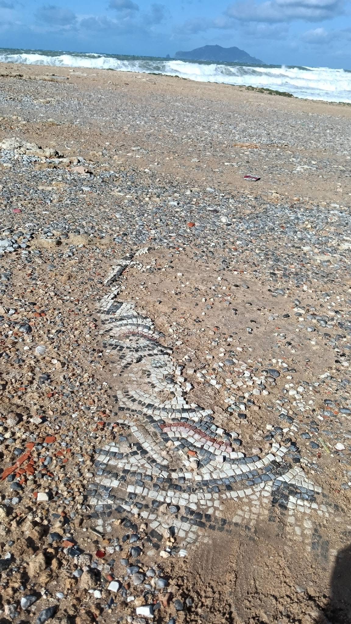 اكتشاف فسيفساء قرطاجية نادرة بميناء ميسوا يسلّط الضوء على الإهمال التاريخي