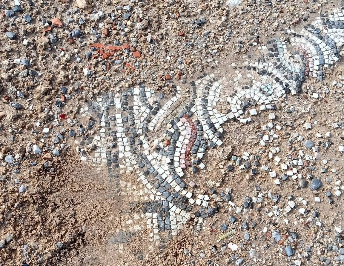 اكتشاف فسيفساء قرطاجية نادرة بميناء ميسوا يسلّط الضوء على الإهمال التاريخي