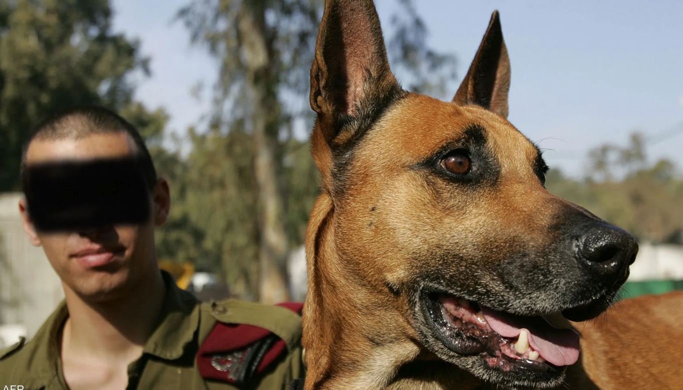 حماس تعتمد على الكلاب المدربة كخطوة مضادة لوحدات الكلاب البوليسية الإسرائيلية