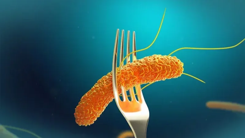 تحذير علمي صادم من المطبخ: غسل الدجاج والبيض قد ينشر «السالمونيلا» في كل أرجاء المنزل