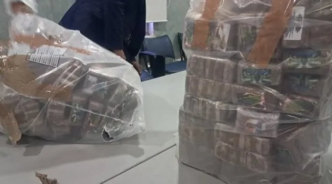 تونس: إتلاف 538 كلغ من المخدرات في عملية أمنية كبرى