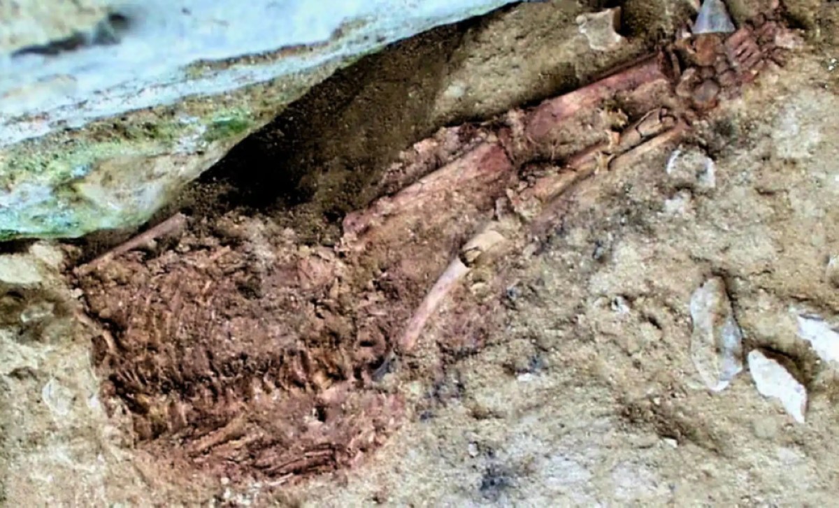 28 ألف سنة بعد دفن «طفل لابيدو»… لغز السمات النياندرتالية يحل جزئيًا