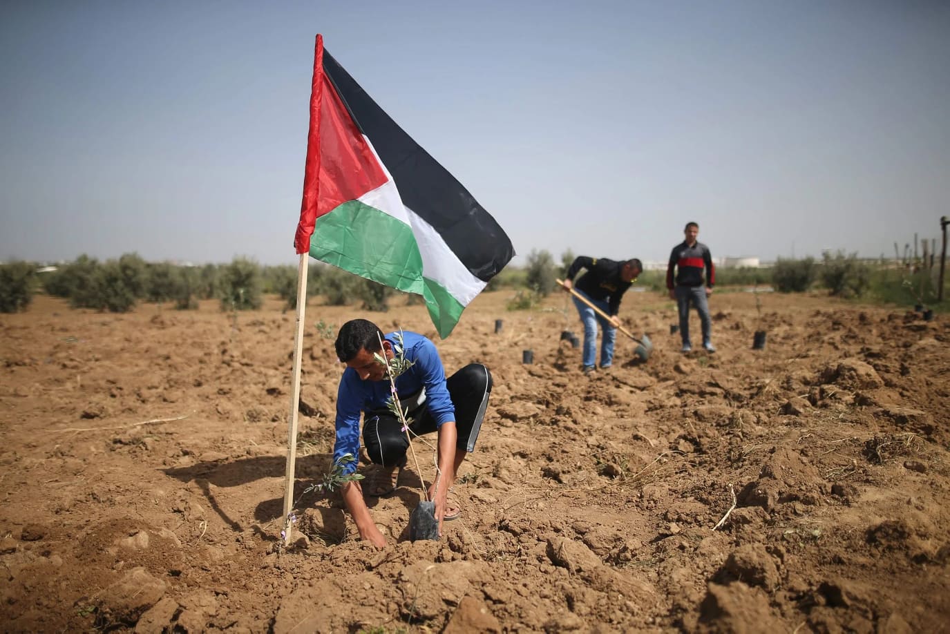 الاحتلال الإسرائيلي يمعن في القتل والاعتقال ومصادرة أراضي الفلسطينيين