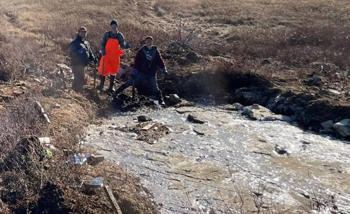 لغز عمره 550 مليون سنة… هل شهدت الأرض أول انقراض جماعي أعنف مما تصور العلماء؟