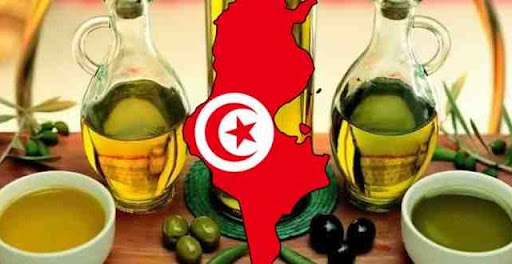 تونس تتصدر عالميًا في المسابقة الأفرو آسيوية الدولية لزيت الزيتون البكر الممتاز