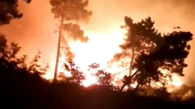 لهيب يمتد في غابات عين دراهم.. جهود مضنية لإخماد حريق المناورية وسط تضاريس صعبة