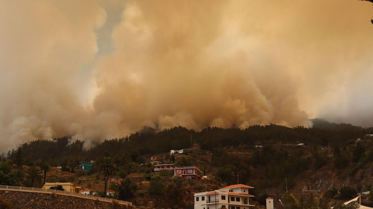 كارثة حريق الغابات في جزيرة لا بالما: إخلاء المئات وتدمير منازل، هل تصاحبها موجة حر الأسبوع القادم؟