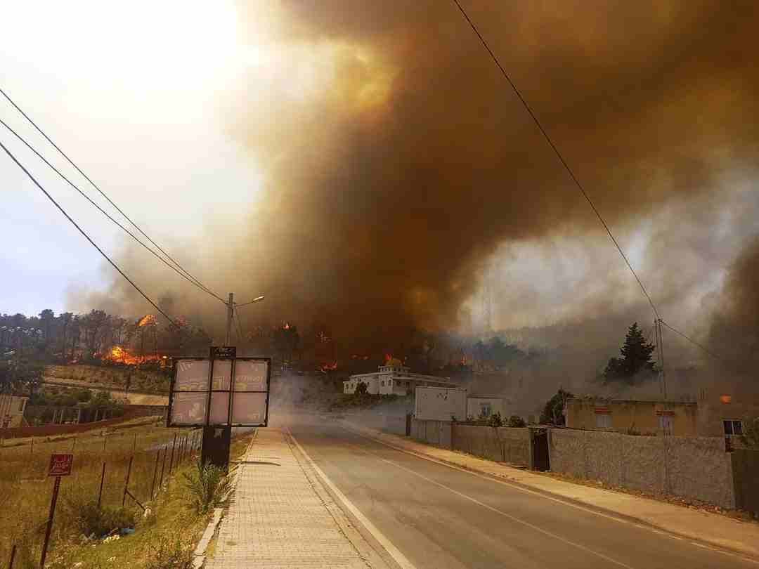 كارثة تجتاح غابة ملولة: النيران تشتعل مجددًا وتهدد سكان المنطقة!