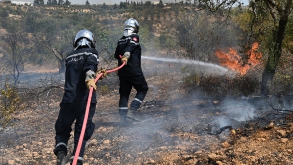 اندلاع حريق في جبل الدرادرية بمعتمدية تيبار بولاية باجة