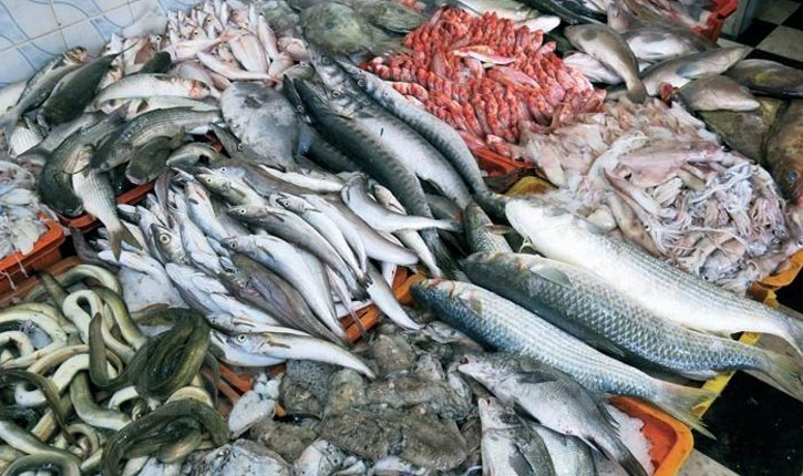 صادرات منتجات الصيد البحري تتراجع بنسبة 3% في ماي 2023