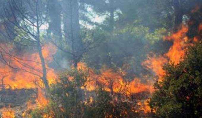 عمليات إطفاء الحرائق تشتد في جندوبة: تدخل سريع للحماية المدنية والغابات للسيطرة على النيران