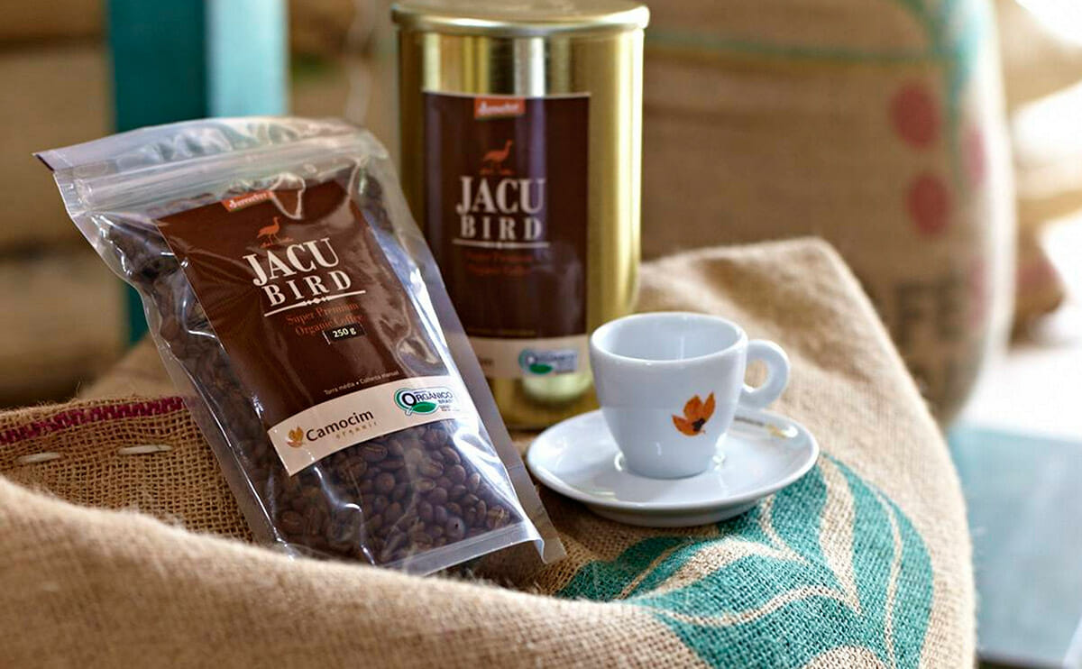 قهوة جاكو: قهوة البرازيل الفاخرة المستخرجة من فضلات طائر الجاكو