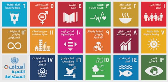 المسؤولية المجتمعية في تونس ودور رجال الأعمال والمؤسسات الكبرى في بناء الدولة والمجتمع 