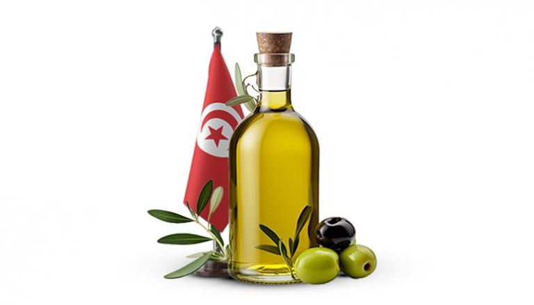 زيت الزيتون التونسي يكتسح العالم… أرقام قياسية غير مسبوقة في موسم 2025