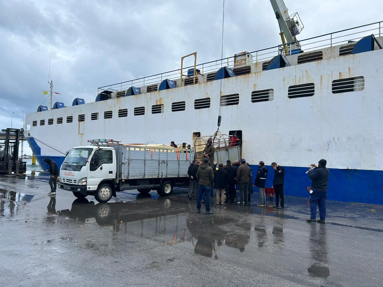 وصول شحنة قمح إلى ميناء بنزرت لتأمين احتياجات التغذية في تونس