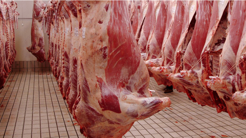 تحذير غذائي في الأسواق التونسية… شحنات لحوم مبرّدة تُرفض للإتلاف