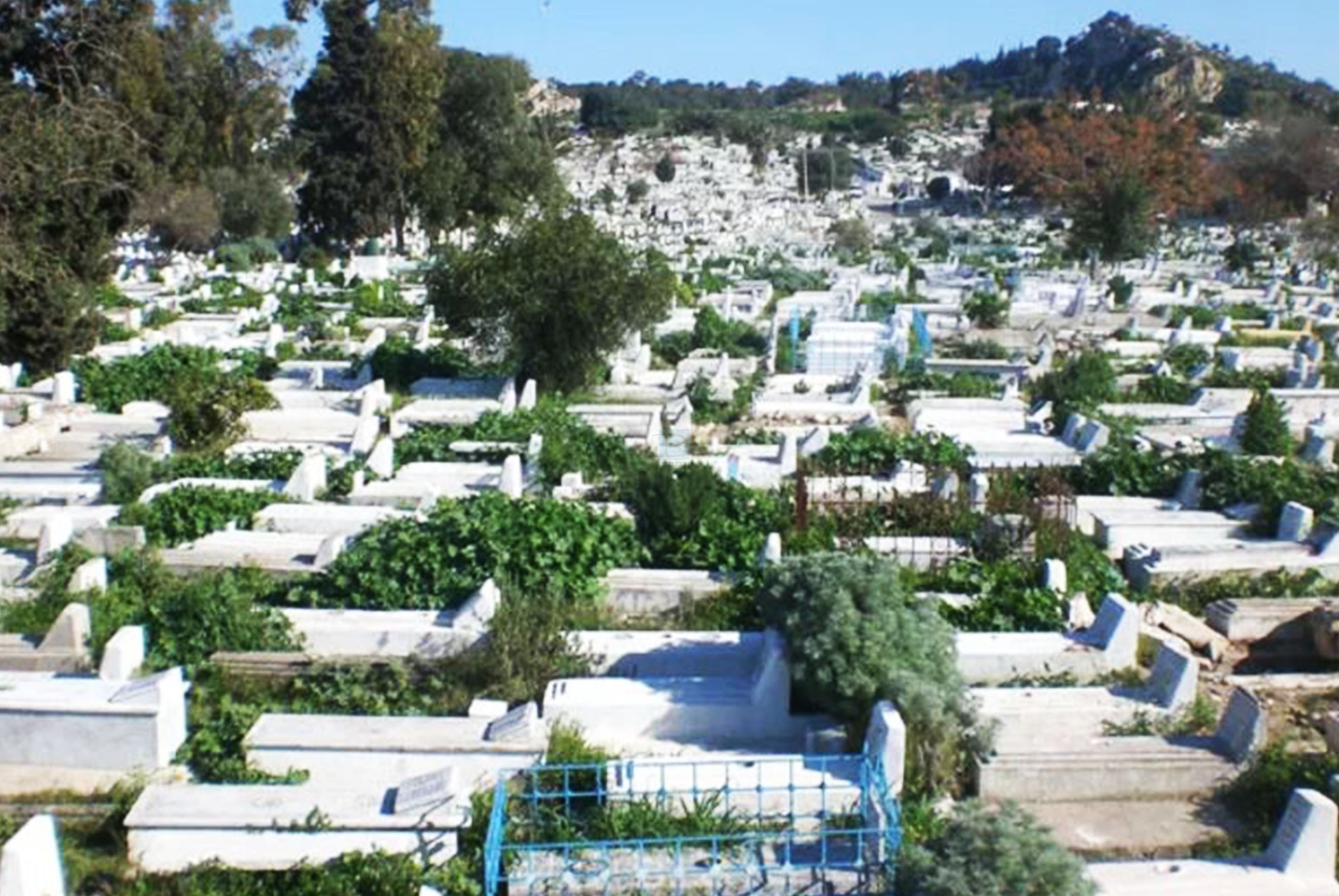 العاصمة بلا مقابر: التونسي يعاني حيا وميتا