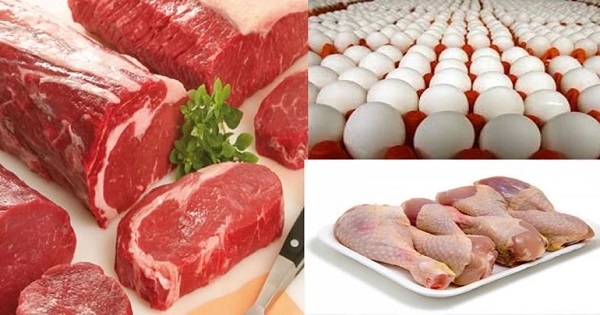 انخفاض قياسي في أسعار البيض ولحوم الدواجن: فرصة ذهبية للمستهلكين