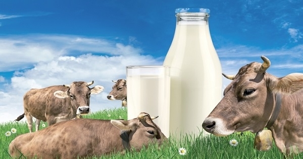 زيادة سعر لتر الحليب في تونس إلى 1950 مليم
