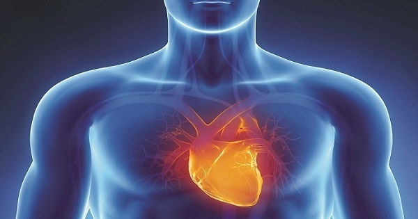 الافراط فى فيتامين "د" يؤثر على القلب و"ج" يساعد مرضى القلب